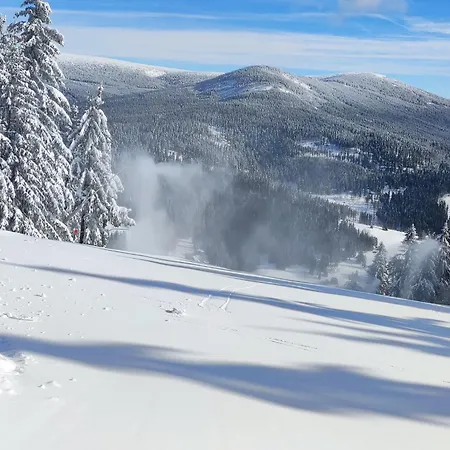 Enjoyharrachov Atraktivni Klidne Studio 3 V Centru Harrachova S Parkovanim, Velkou Terasou, Wifi-Wlan, Sat Zdarma, Moznosti Dobijeni Auta, Vyhledem Do Zahrady A Na Romanticky Kostelik Exterior photo